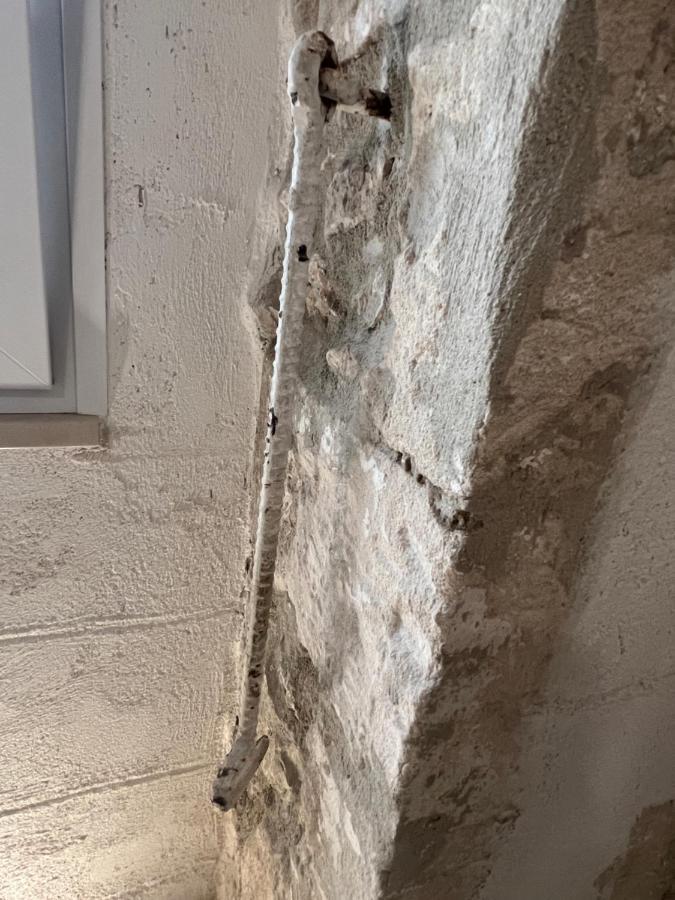 Maison Carolina Vieste Dış mekan fotoğraf